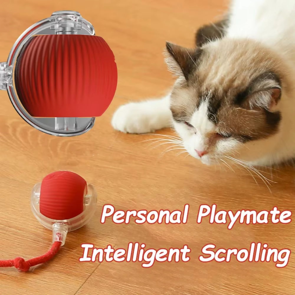 Interactive Rechargeable Cat and Dog Toy - Automatic Rolling Ball with Faux Tail for Enhanced Training and Playtime