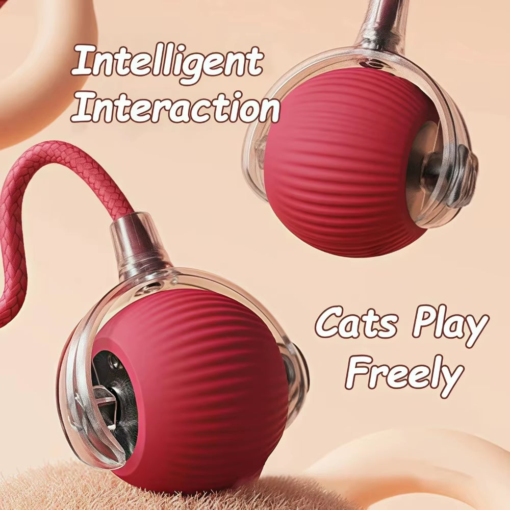Interactive Rechargeable Cat and Dog Toy - Automatic Rolling Ball with Faux Tail for Enhanced Training and Playtime