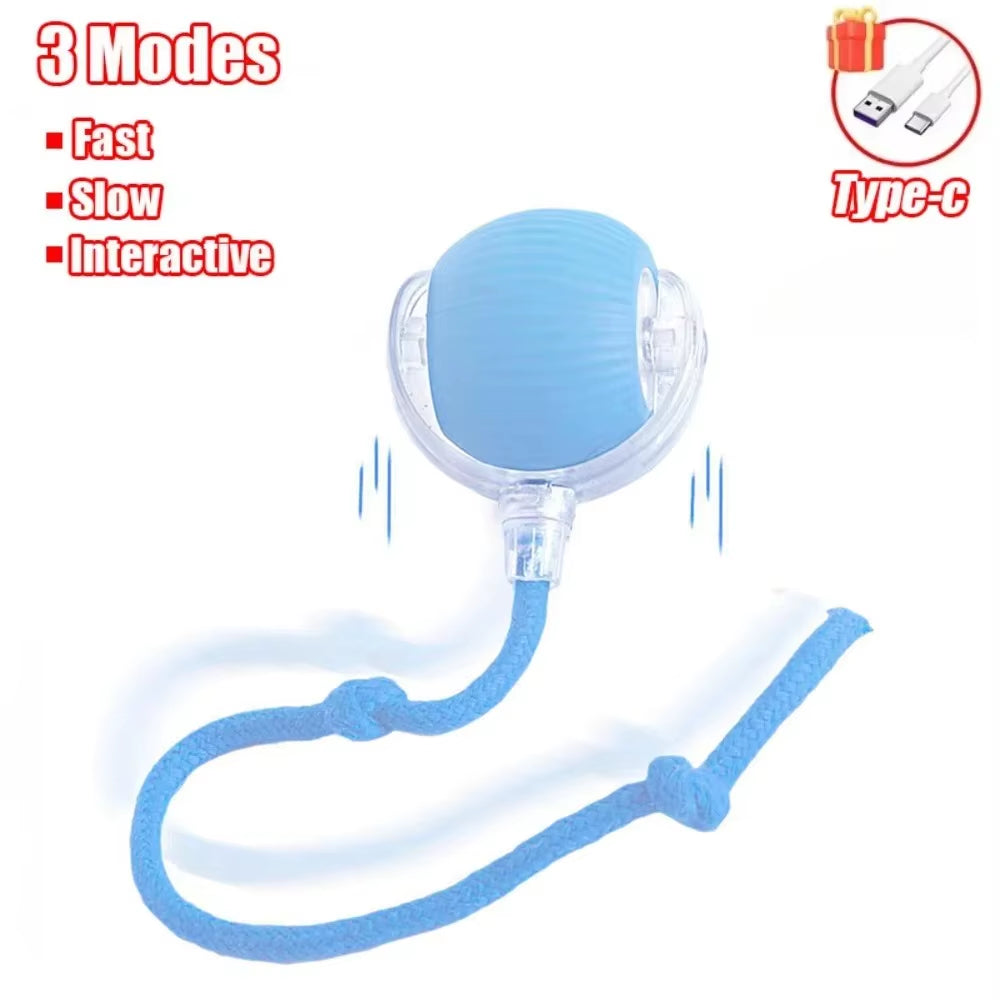 Interactive Rechargeable Cat and Dog Toy - Automatic Rolling Ball with Faux Tail for Enhanced Training and Playtime