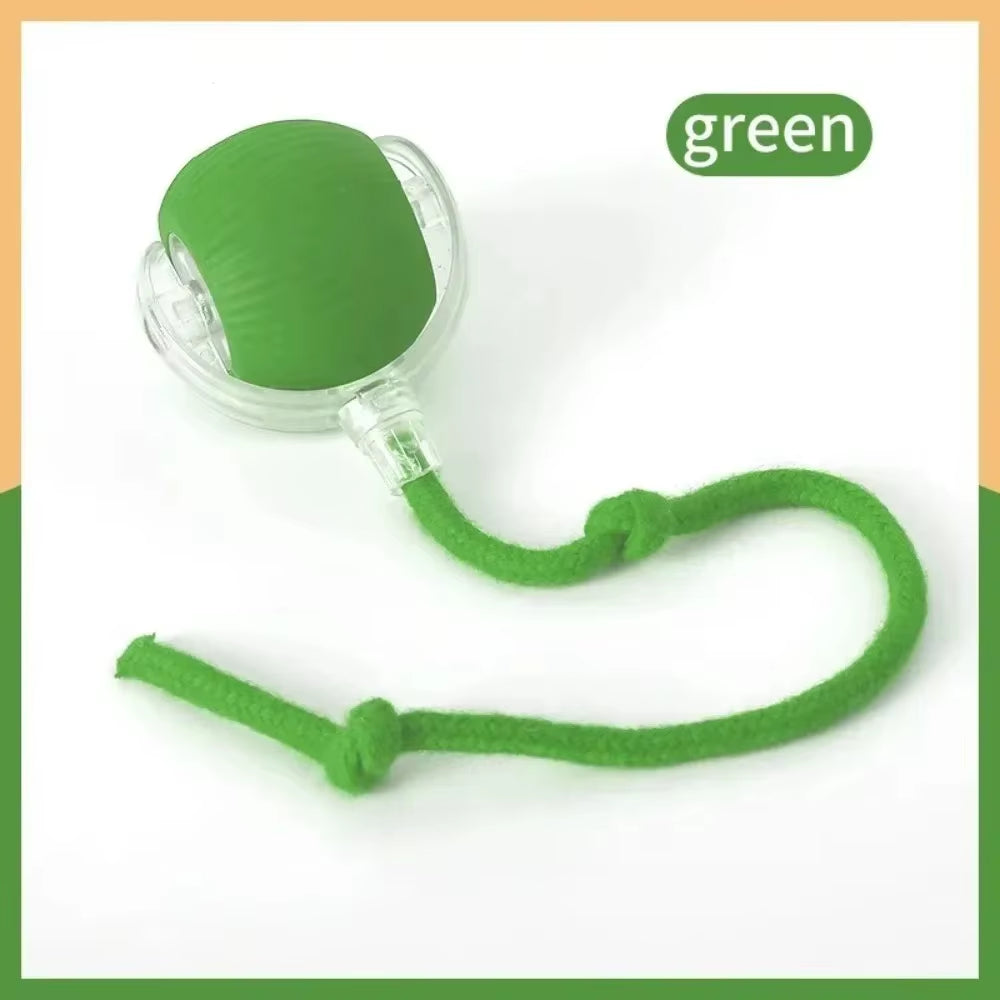 Interactive Rechargeable Cat and Dog Toy - Automatic Rolling Ball with Faux Tail for Enhanced Training and Playtime
