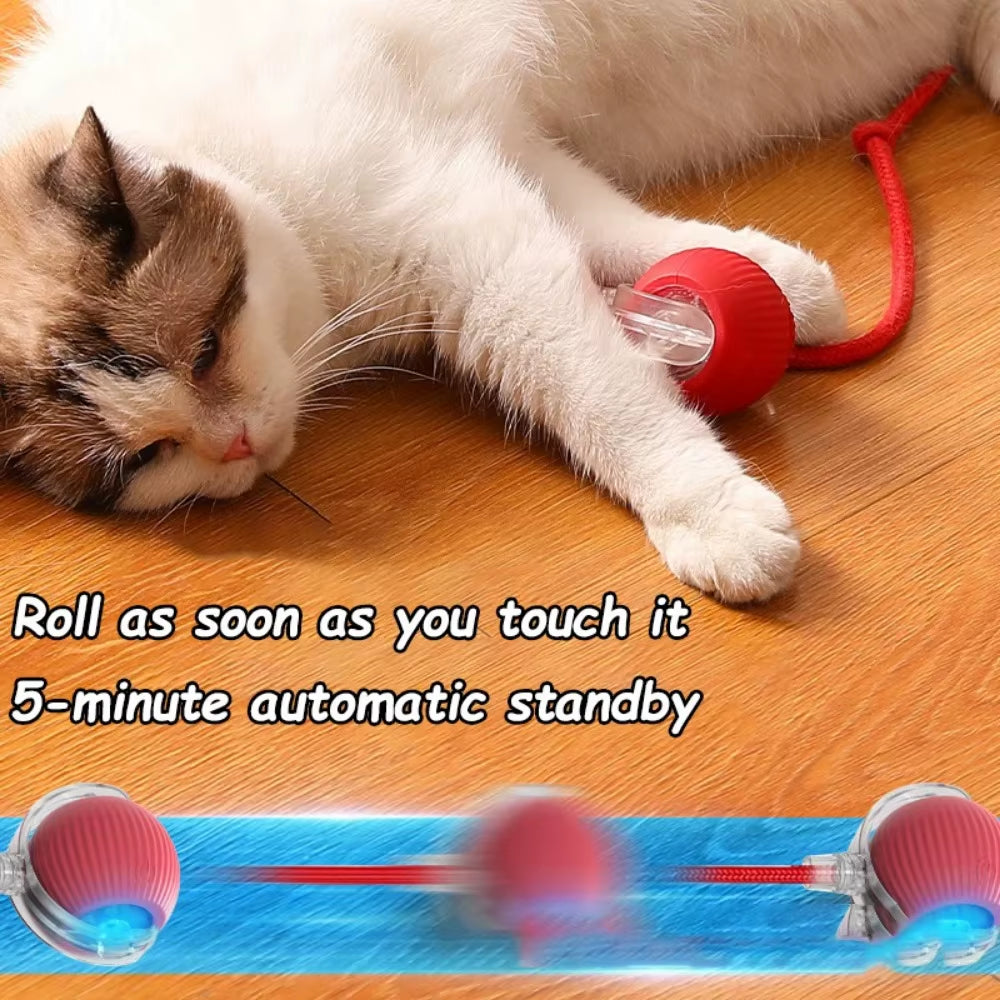 Interactive Rechargeable Cat and Dog Toy - Automatic Rolling Ball with Faux Tail for Enhanced Training and Playtime