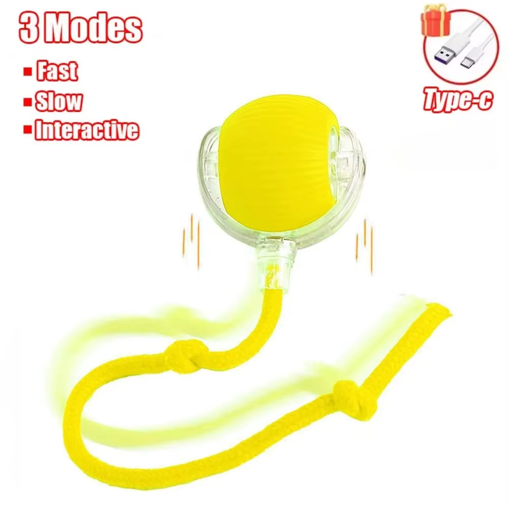 Interactive Rechargeable Cat and Dog Toy - Automatic Rolling Ball with Faux Tail for Enhanced Training and Playtime