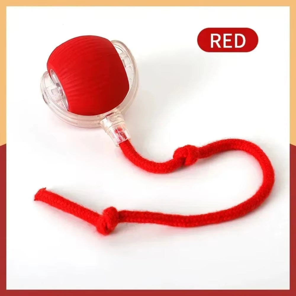 Interactive Rechargeable Cat and Dog Toy - Automatic Rolling Ball with Faux Tail for Enhanced Training and Playtime