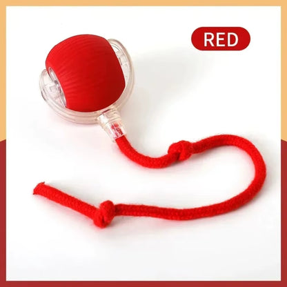 Interactive Rechargeable Cat and Dog Toy - Automatic Rolling Ball with Faux Tail for Enhanced Training and Playtime